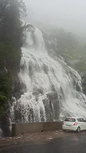 Charmadi Ghat ❤️ For Homestay booking 📞9945842531 Subscribe to our channel on YouTube link in bio https://www.youtube.com/channel/UCcLrX0XaKvpxn1sTPJ0xGzQ If you have still not liked this video do like & follow 👉 @rasta_homestay_sakleshpura . https://www.instagram.com/invites/contact/?i=ij5rfpmsyr9j&utm_content=lkfx6l DM for credits/removal. If issues content will be immediately removed. Do not strike back😍 🎥 Hinde Kastapatidu evre🙏 @vishnu___km Congratulations on your feature😊 Save trees�