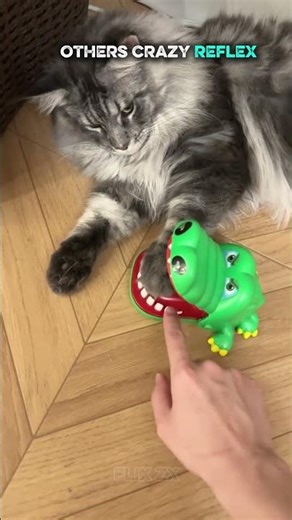 OTHERS CRAZY REFLEX #trend #phonk