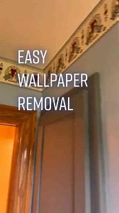 Check Out This Must-Have Tool! Wagner Has You Covered!