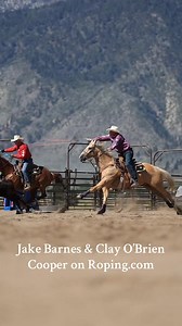 37K views · 640 reactions | This is your reminder to go watch these guys in their NEW roping series on Roping.com. Trust me, you don’t want to miss it  홒홖황환홝 홝홚홧홚: bit.ly/3TsyGw5 | Roping.com | Facebook
