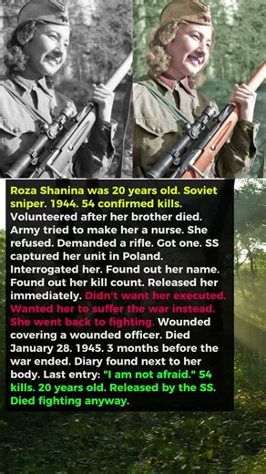 Soviet Woman Sniper Was Captured by the SS — They Released Her When They Found Out Who She Was