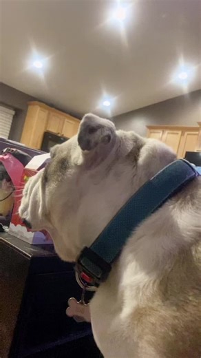 kramer (@cozmokramer)’s videos with original sound - kramer