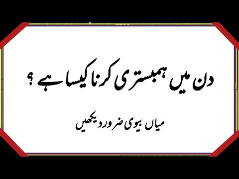 50+ Amazing General Knowledge Question in Urdu | Paheliyan in Hindi |Test our Brain with Zeenat