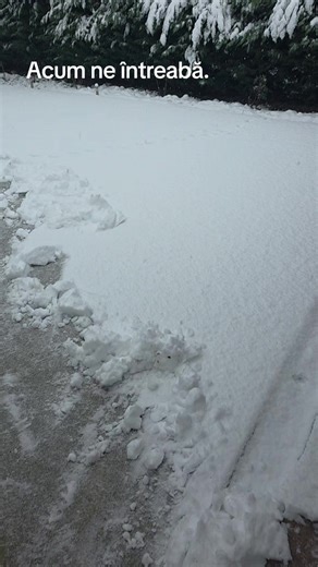 007 (@indianul1973)’s videos with sunet original - 007