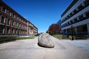 Data & Information Technology