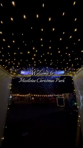 2.2K views · 20 reactions | Step into the world of Mistletoe Pop Ups | Mistletoe Pop Ups | Facebook