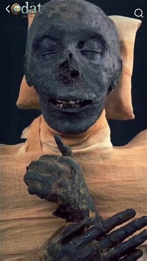 Mummy of Egyptian pharaoh Thutmose III #mummy #Egyptian #Pharaoh #Thutmose #deceased #ancient #era