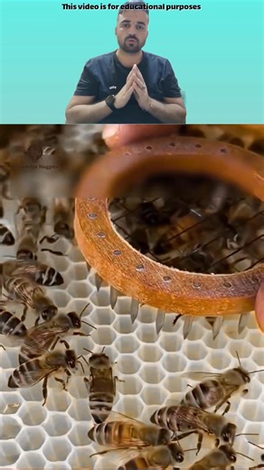 Why beekeepers mark bee queen? #handmade #diy #craft #crafts #crafting #doityourself | Knowledge Nuggets