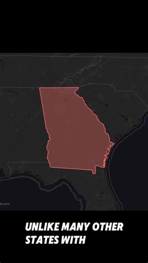 Why So Few Americans Live In Southern Georgia #geography #geographyfacts #unitedstates #us #trending #viral #foryou #fy | Ellen Kutch