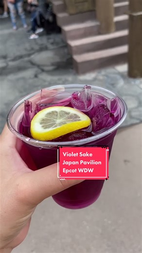 Exploring Delicious Food and Sake in Epcot's Japan Pavilion