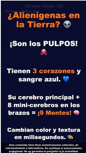 ¿Los Alienígenas YA Están Aquí? ¡Son los PULPOS! 👽\n\n¿Y si las criatura...