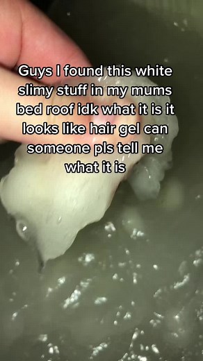 Mysterious White Slimy Substance Found in Bed Roof - What is it?