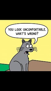 135K views · 1.1K reactions | Uncomfortable #cat #cats | Scott Metzger Cartoons | Facebook
