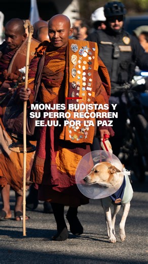 Un grupo de monjes #budistas recorre Estados Unidos a pie, desde Texas hasta Washington, con el objetivo de promover la paz. | CNN en Español