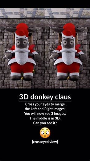 Ben Greenberg on Instagram: "3D donkey claus Cross your eyes to merge the Left and Right images. You will now see 3 images. The middle is in 3D. Can you see it? 😳 [cross-eyed view]"
