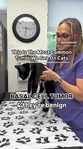🐱 Let's break down COMMON TUMORS in Cats 🐱⁠⁠ First, some vocabulary:⁠⁠Malignant = Cancerous | Benign = Not Cancerous ⁠⁠🐈‍⬛ The most common malignant skin tumors in cats are:⁠⁠ - Mast cell tumors ⁠- Squamous cell carcinomas ⁠- Fibrosarcomas ⁠⁠And these three types comprise about half of all skin tumors in cats.⁠⁠🐈‍⬛ The most common benign tumor we see in cats is, by far:⁠⁠ - Basal cell tumors: 15%–26%⁠⁠⁠ Even though basal cell tumors are the most common tumor we see, a mass is more likely mal