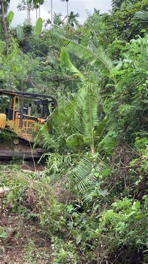 The D6R XL Bulldozer Effectively Clears Mountain Land