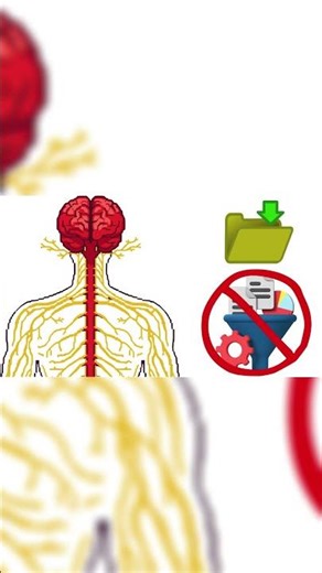 Every Autism Type Explained Including the Hidden Ones