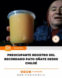 846K views · 20K reactions | QUIEN FUERA NOTERO DE EMBLEMÁTICOS PROGRAMAS EN LOS 90' COMO "VIVA EL LUNES" O "SÁBADO GIGANTE", ESTÁ RADICADO EN EL SUR Y MOSTRÓ UN PREOCUPANTE VIDEO DÓNDE PIDE AYUDA CON SU EMPRENDIMIENTO DE VENTA DE MIEL. | TV Ohiggins | Facebook