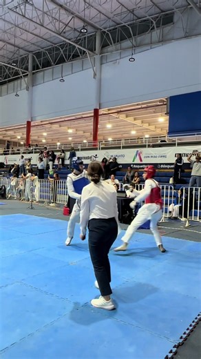 Taekwondo Knockout Techniques Explained