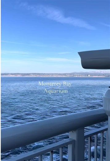 Exploring the Wonders of Monterey Bay Aquarium