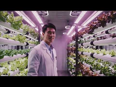 The Future of Farming is Inside This Box! 🌿 | High-Tech Vertical Container Farm Reveal