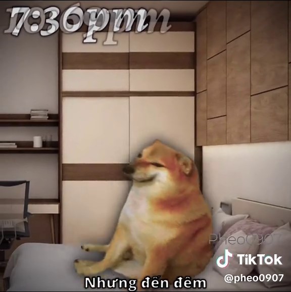 Create Stunning Sigma Edits with Alight Motion