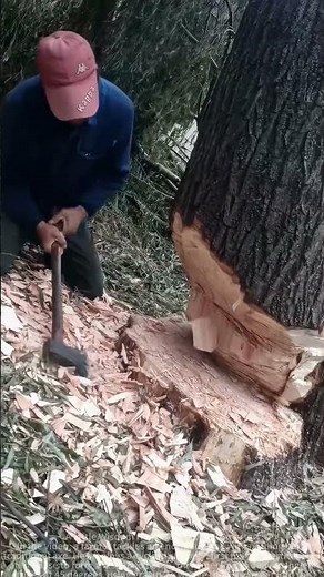 Sharing methods of tree cutting