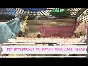 DIY Litter Box for Rats
