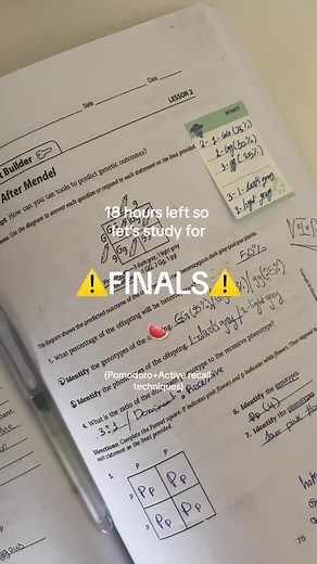 No caption. #palestine🇵🇸 #alleyesonrafah #study #studytok #studyvlog #studywithme #studymotivation #student #studying #activerecall #palestineفلسطين