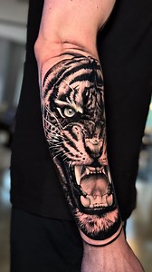 11K views · 1K reactions | Força, imponência e intensidade… tudo em...