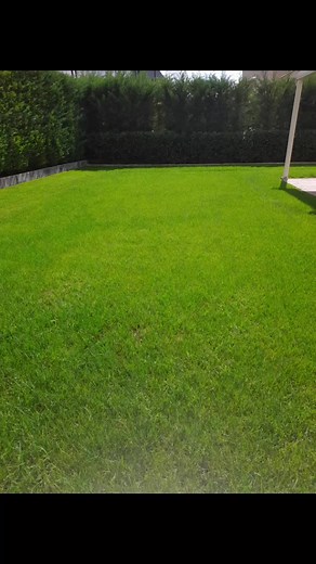 Lawn Maintenance Tips for a Beautiful Garden