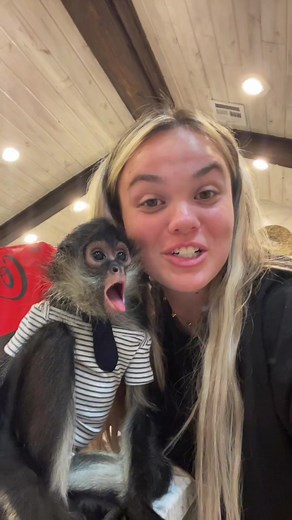 Abu goes on a date!? #fyp #animal #animals #cute #monkey #spidermonkey #cute #exotic #lunchdate #fy