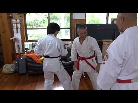 沖縄小林流空手道（相対稽古）➀