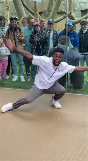 Mirror Image: Gorilla Responds to Dance Moves
