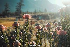 Drop Of Water Videos, Download The BEST Free 4k Stock Video Footage & Drop Of Water HD Video Clips