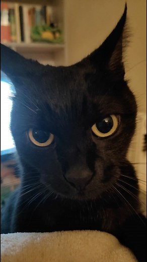 weewee daily | Day 123 | Instagram