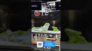 LG OLED T transparent TV: features and first look
