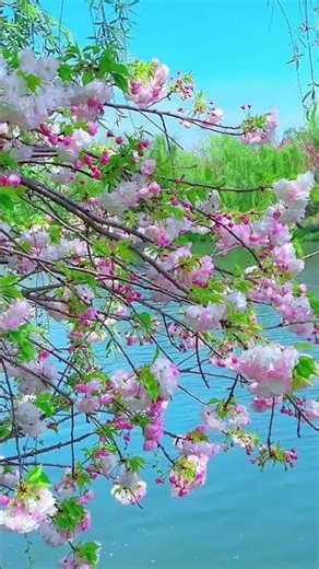 This is What a Perfect Spring Day Looks Like