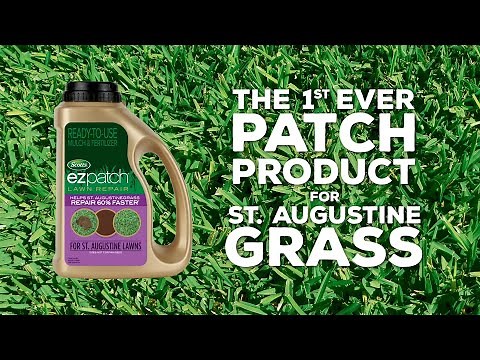 How to repair St. Augustine Grass with Scotts® EZ Patch