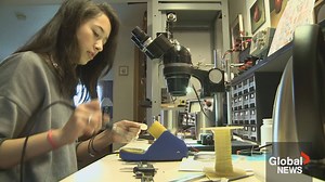 23K views · 177 reactions | At age 15, Ann Makosinski invented an LED flashlight that runs without batteries. It was heralded as a unique invention earning her a place on Forbes 30 Under 30 List. Ten years later Kylie Stanton is catching up with her to see where life has taken her. | Global BC | Facebook