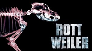 ROTTWEILER 2004 Castellano