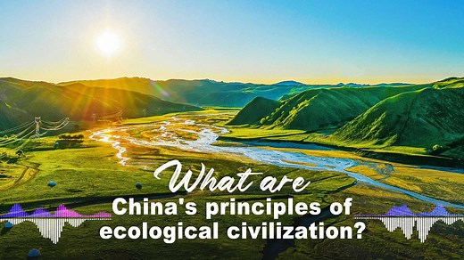 The Chinese people should protect the natural environment in the same way we would protect our own well-being, focusing on taking more positive measures that will provide solid foundations and long-term benefits, concrete steps that will help protect and restore the environment, and effective actions that will clean up our surroundings and reveal their natural beauty. Click the video for more↓ https://news.cgtn.com/news/2021-06-15/What-are-China-s-principles-of-ecological-civilization--116Hzw7IK