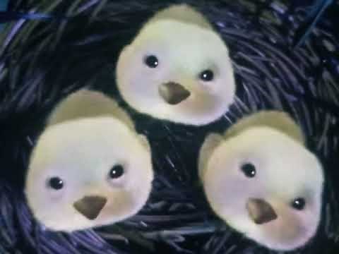 Disney Pixar A Bug's Life (1998) voice Frank Welker as Chicks