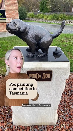 This Tasmanian museum is after poo portraits ... here's why. Read more: https://ab.co/3HXEzyd 🎥 Video by Lia Walsh. Choose your news on the ABC NEWS app and stay in the know: https://ab.co/abcnewsapp #MuseumMoment #MuseumTok #Museums #ArtTok #Aussie #Tasmania | ABC News