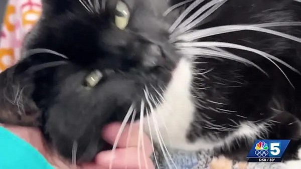 Pet Connection: March 19, 2026