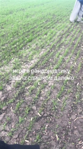 Рандонавтика: Путешествия по Случайным Координатам