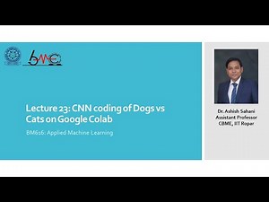 Lecture 23: CNN coding of Dogs vs Cats on google colab
