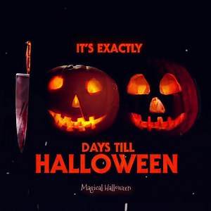 There are only 100 days until Halloween! 🧡🎃👺🧙🏻‍♀️🕸️🕷️🐈‍⬛🍂🍁🪵🔥🕯️✨ | Magical Halloween