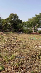 9.3K views · 218 reactions | the smart pretty lady | Mazi Akpaka Comedy | Facebook